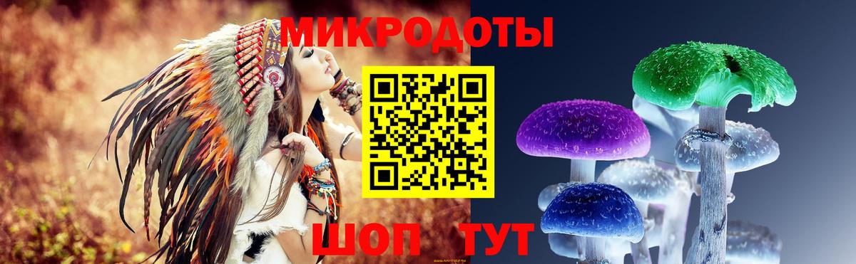 Псилоцибиновые грибы прущие грибы  Вход с VPN  Нефтекумск 