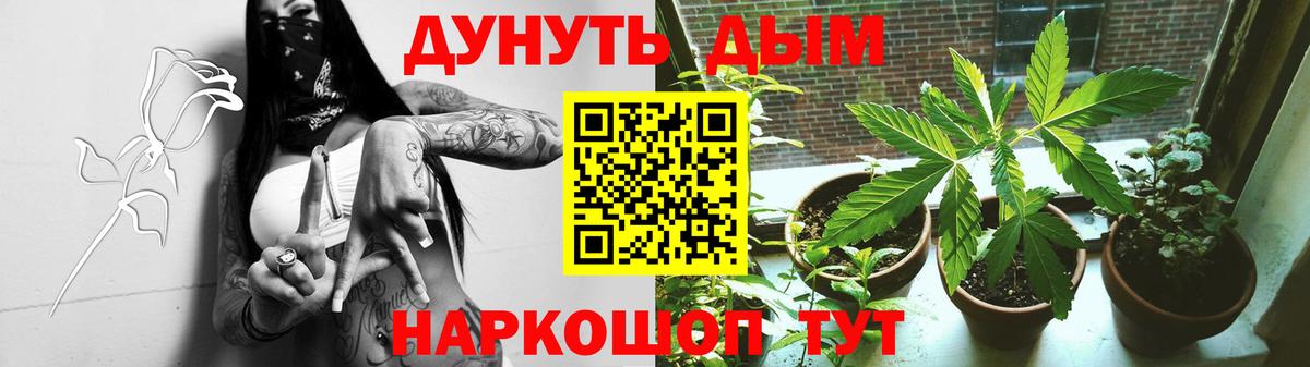 Бошки марихуана конопля Нефтекумск